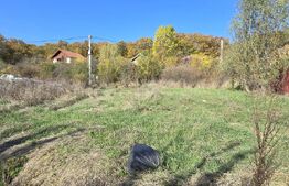 Oportunitate! Teren intravilan 1200 mp, Satul de Vacanta Podari