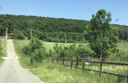 Oportunitate! Teren intravilan 1200 mp, Satul de Vacanta Podari