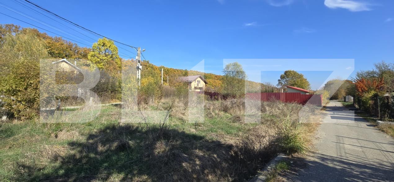 Teren de vânzare Exterior Sud - 167134TV | BLITZ Craiova | Poza2