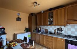 Casa P+1+beci, 5 camere, 180 mp utili, 430 mp teren, zona Siloz