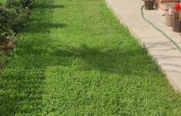 Casa P + M, 3 camere, 110 mp, teren 335 mp, zona Albesti