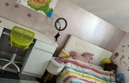 Casa P + M, 3 camere, 88 mp, teren 335 mp, zona Albesti