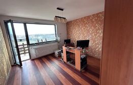 Casa 240 mp, 5 dormitoare, 2000 mp curte, zona Aeroportului