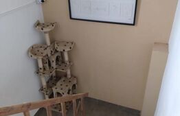 Casa familiei tale, 3 cam, Damila, P+1, SU 80mp, teren 238 mp