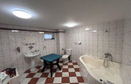 Casa cu 10 camere si 8 bai, 585 mp, zona Facultății de Medicina