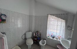 Casa cu 10 camere si 8 bai, 585 mp, zona Facultății de Medicina