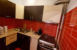 Garsoniera moderna, 32 mp, Brazda lui Novac, zona Titulescu