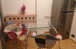 Garsoniera moderna, 32 mp, Brazda lui Novac, zona Titulescu