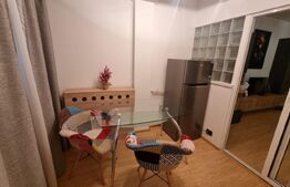 Garsoniera moderna, 32 mp, Brazda lui Novac, zona Titulescu