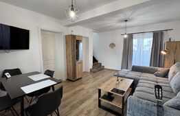 Casă P + E parte din triplex, 94 mp, 122 mp teren, zona Damila