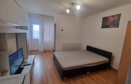 Garsoniera decomandata, 21 mp, zona Stadion Electropuere-Valea Rosie