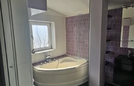 Casa P+E si casa pe parter in zona Ghercesti