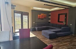 Casa P+E si casa pe parter in zona Ghercesti