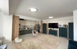 Apartament 2 camere 75mp, zona Damila