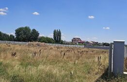 Teren intravilan de vanzare ,4400mp, Braniste, posibilitate investitie