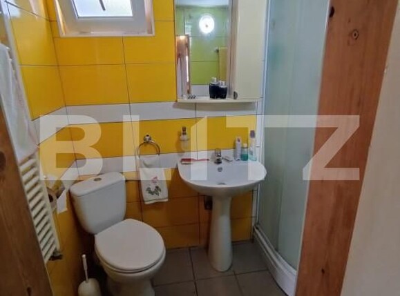 Casa de vânzare 4 camere Brestei - 167787CV | BLITZ Craiova | Poza13