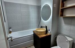 Garsoniera de vanzare, 30 mp, ultramoderna, zona Lapus, Electroputere Mall