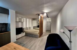 Garsoniera de vanzare, 30 mp, ultramoderna, zona Lapus, Electroputere Mall