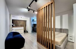 Garsoniera de vanzare, 30 mp, ultramoderna, zona Lapus, Electroputere Mall