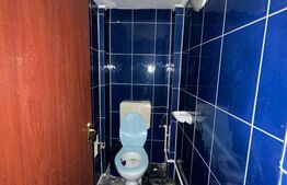 Spatiu comercial, 293 mp/129 mp, zona ultracentrala cu Vad