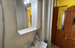Apartament 2 camere semidecomandat 27 mp, et. 1, Valea Roșie