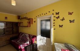 Apartament 2 camere semidecomandat 27 mp, et. 1, Valea Roșie