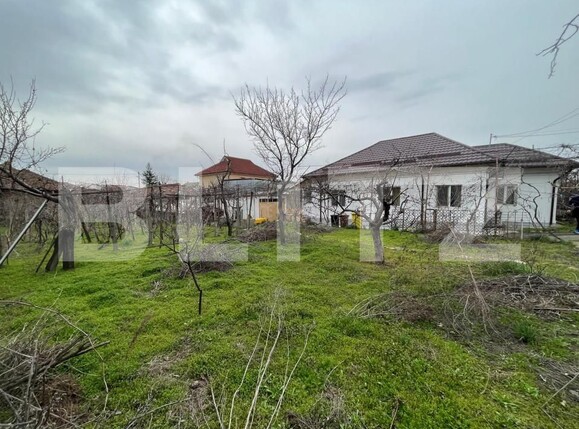 Casa de vânzare 4 camere Lascar Catargiu - 167872CV | BLITZ Craiova | Poza4