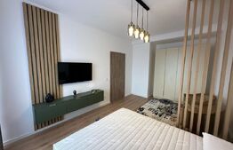 Studio Modern, 40 mp, zona Rovine