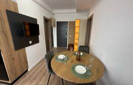 Studio Modern, 40 mp, zona Rovine