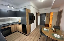 Studio Modern, 40 mp, zona Rovine