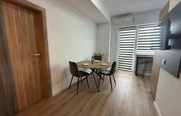 Studio Modern, 40 mp, zona Rovine