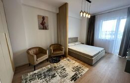 Studio Modern, 40 mp, zona Rovine