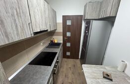 Apartament cu 2 camere, 46 mp, Zona Consul