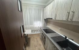 Apartament cu 2 camere, 46 mp, Zona Consul