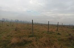 Teren Intravilan, 600 mp in zona Peugeot