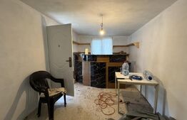 Casa de vacanta pe parter noua, Belot-Sopot, 2000 mp teren