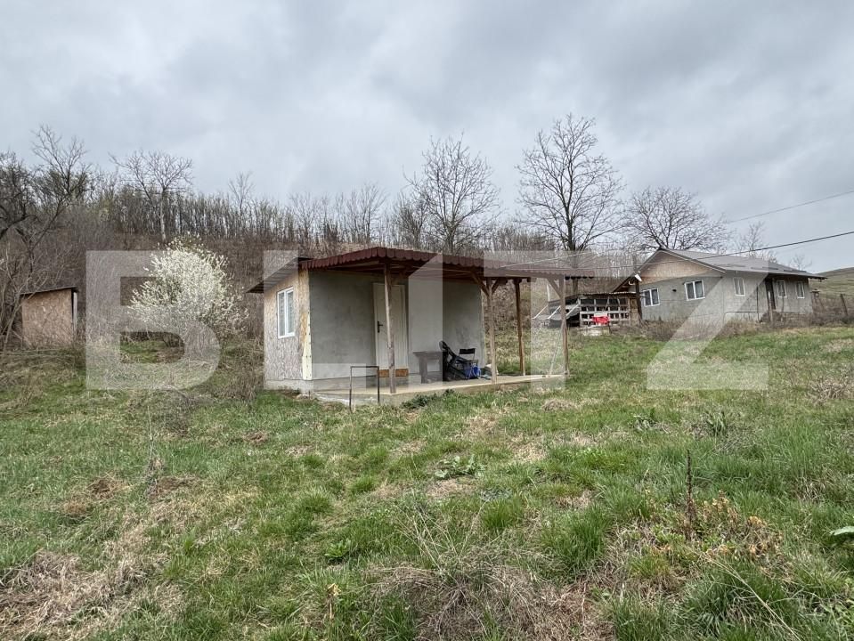 Casa de vânzare 3 camere Exterior Vest - 168157CV | BLITZ Craiova | Poza14