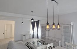 Casa individuala la cheie, P+E, utilata-mobilata, 400 mp teren, zona Damila