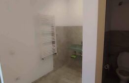 Inchiriere spatiu comercial, 120 mp, zona Calea Severinului