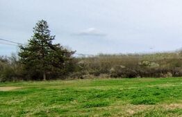 Teren intravilan de vanzare, 1.243 mp, platou Breasta