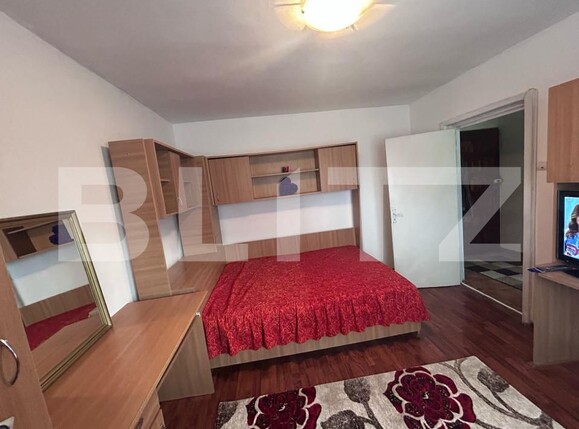 Garsonieră de închiriat Lapus Arges - 168405AI | BLITZ Craiova | Poza1