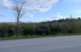 Teren padure 10 ha, extravilan, 400 ml deschidere, stradal, zona Breasta