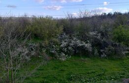 Teren padure 10 ha, extravilan, 400 ml deschidere, stradal, zona Breasta