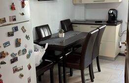 Apartament cu 3 camere modern, 75 mp, centrala termica si AC, zona Craiovita 