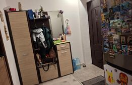 Apartament cu 2 camere 47 mp, zona Calea Severinului 