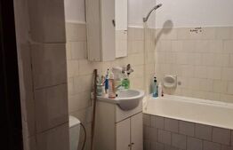 Apartament cu 2 camere 47 mp, zona Calea Severinului 