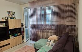 Apartament cu 2 camere 47 mp, zona Calea Severinului 