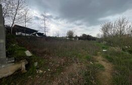 Teren intravilan de vanzare, 1108 mp, zona Cornitoiu