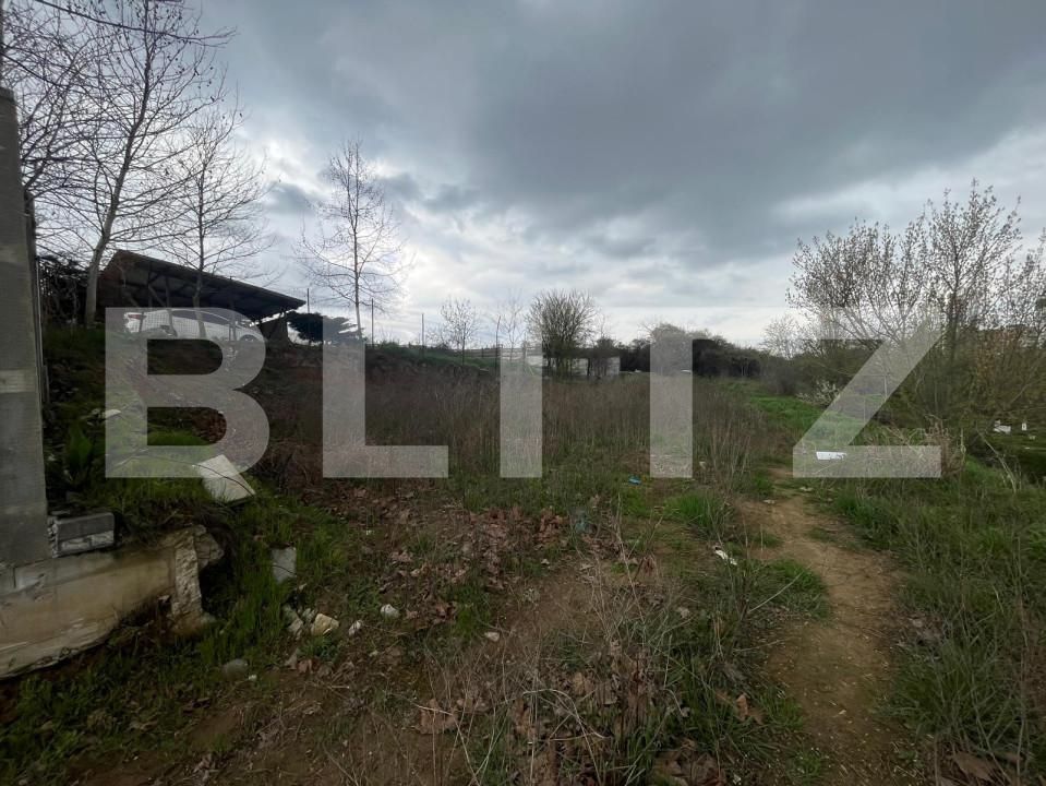 Teren de vânzare Cornitoiu - 168523TV | BLITZ Craiova | Poza2