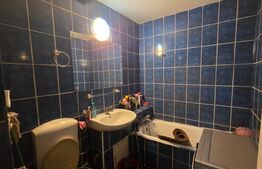 Apartament de vanzare, 2 camere, decomandat, 55 mp, zona Brazda lui Novac